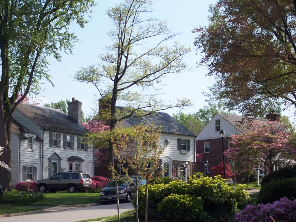 Info & Events Wiltondale Improvement Association